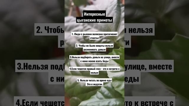 Интересные цыганские приметы #эзотерика смотреть онлайн