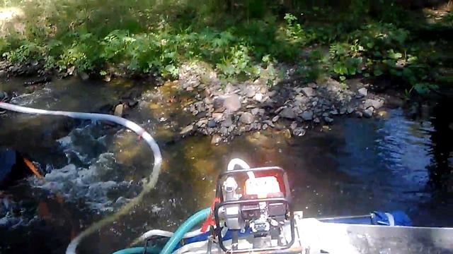 минидрага смотреть онлайн