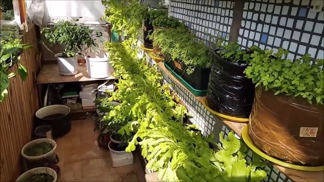 Астрономия и Космос