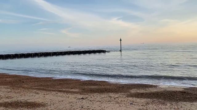 VLOG: о традиционности англичан, клубах по интересам и зачем насекомым строят отели. смотреть онлайн