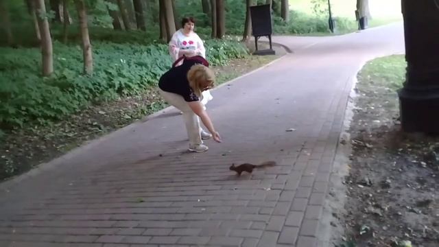 ПЕЙЗАЖНЫЙ ПАРК И МЫ В УДАРЕ. смотреть онлайн