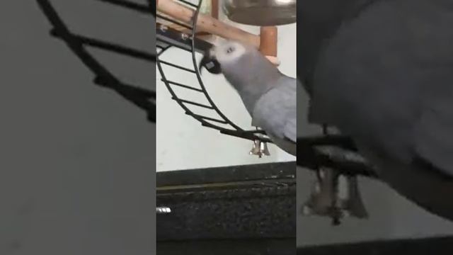 Балаган! Кто устроил балаган? Мама! смотреть онлайн