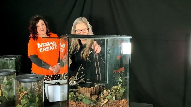Making a Stick Insect Habitat | Animal Teach смотреть онлайн