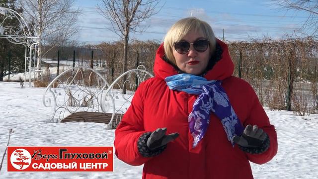 Подготовили серию видеороликов о том, чем живет «Садовый центр Веры Глуховой» в весенний период смотреть онлайн