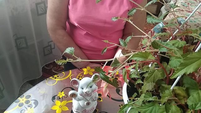 О себе немножко больше... смотреть онлайн