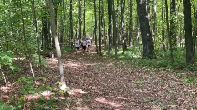 Легкоатлетический кросс 