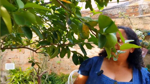 TOUR PELO QUINTAL DA DIANA E DO HÉLIO: PLANTAS DE SOMBRA E SOL PLENO| COSTELA DE ADÃO, CACTOS E MAI смотреть онлайн