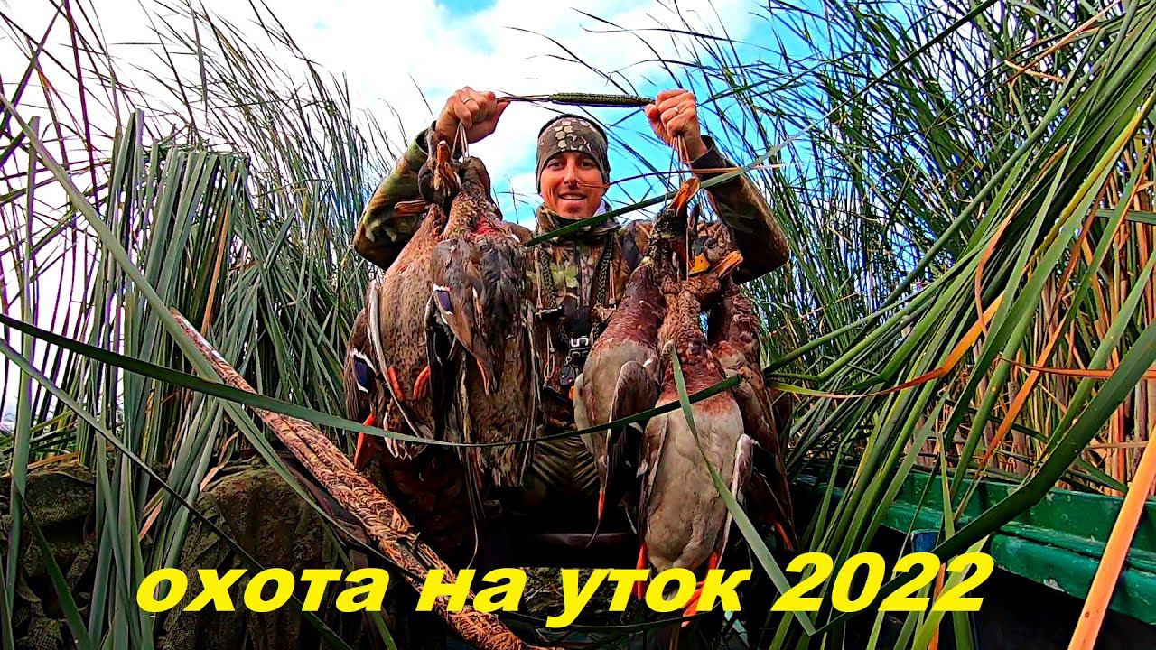 ЛУЧШАЯ ОХОТА СЕЗОНА!!! Охота на уток 2022!!! Утрянка Часть 2 / MAX HUNTER смотреть онлайн
