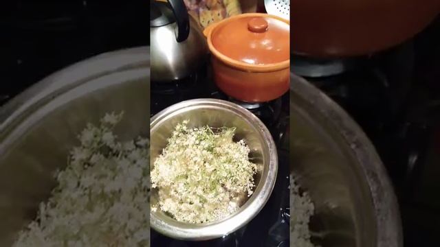 44. Варенье из цветочков бузины. #вареньеизцветовбузины #цветочноеваренье #лекарственныйсиропбузин смотреть онлайн