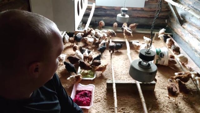 Взрослые "цыпочки" могут без тепла во дворце !!! смотреть онлайн