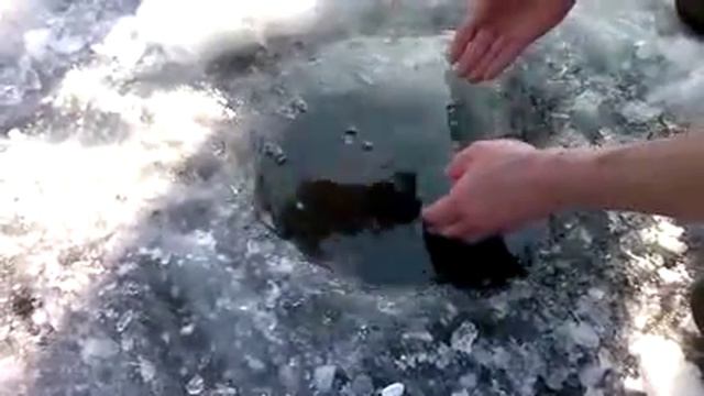 Зимняя рыбалка. Из проруби зубами! смотреть онлайн