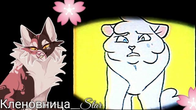 #11 утерянные файлы /Яролика/коты воители смотреть онлайн