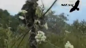 Али Димаев - Бусулба сан Нохчий чоь