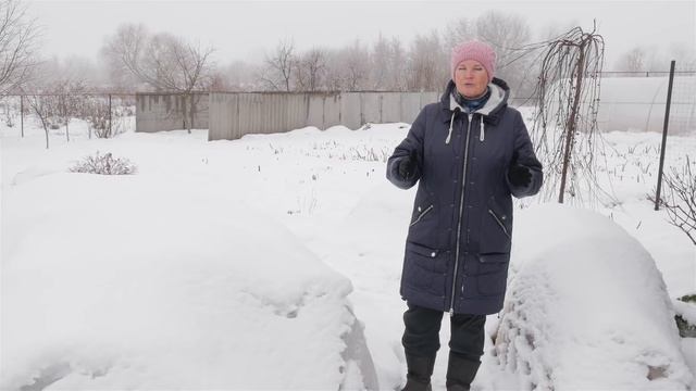 Укрытие роз. Зимний обзор укрытий для роз. смотреть онлайн