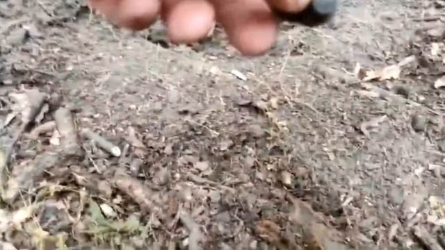 ПОИСК С ЭКВИНОКС 600