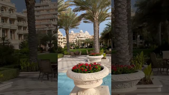 Самый Лучший Raffles -Для Самых взыскательных гостей ❗❤️❗ RafflesThe Palm Dubai. смотреть онлайн