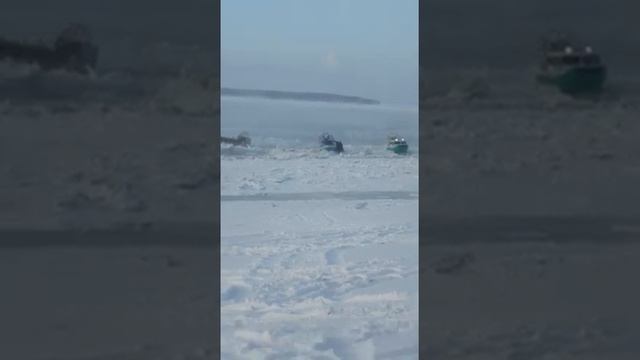 Ирбисы застревают во льдах смотреть онлайн