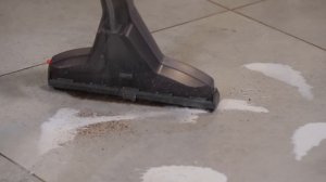 Thomas Aqua+ Pet & Family Parquet Pro для владельцев домашних животных | Обзор и тест