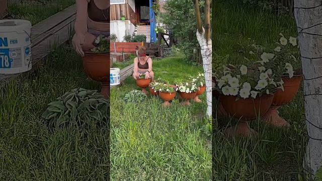 Срочно едем на дачу +30 в Сибири #местосилы #дача #shorts #рек смотреть онлайн