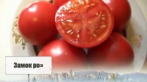 Сорта помидоров