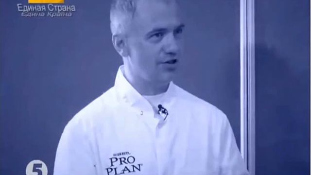 Себорея у кобелей . Лабрадор-ретривер . смотреть онлайн