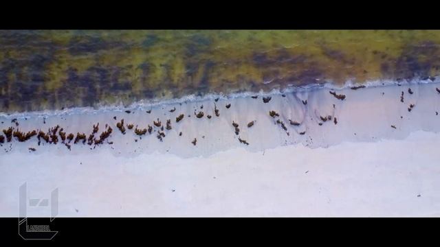 Landéda : Vue d'En Haut - Court Métrage (Drone à Sainte-Marguerite) смотреть онлайн