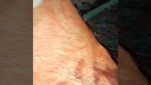 Синий Кит игрушка которая растет в воде.🐳🐳🐳🐳 смотреть онлайн
