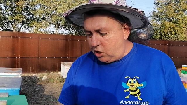 Пчеломатки на 2024 год. Ч2 смотреть онлайн