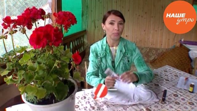 избавляемся от следов от помады смотреть онлайн