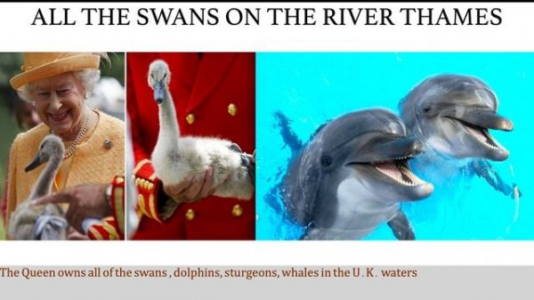 Interesting Facts about the United Kingdom (UK) | Fun Facts