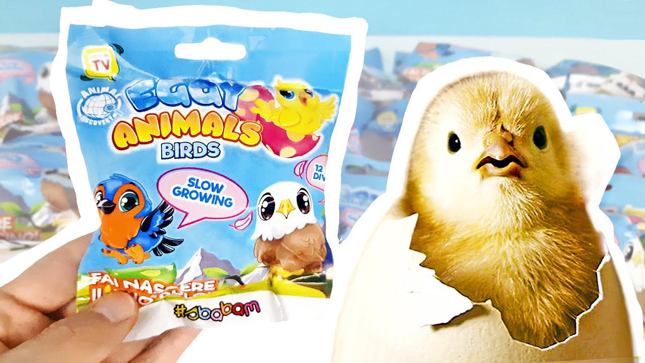 ЯЙЦА ПТИЦ Eggy Animals Birds Новые сюрпризы в пакетиках от СБАБАМ! Surprise eggs unboxing смотреть онлайн