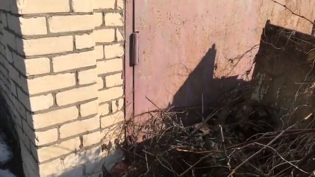 В поиске дачи на Федоровских Лугах. Выпуск №21 смотреть онлайн