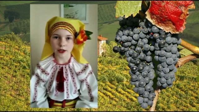 Викторины Танцевальная культура