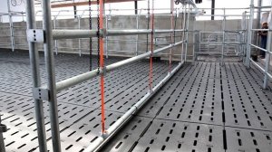 Обзор работы подгонщика коров от Farmtec с функцией навозоудаления