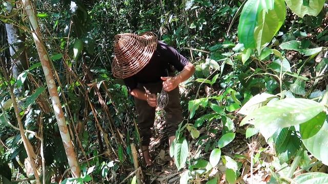 Survival Skills Challenge - Wilderness Alone In Rainforest | EP.57 -How to make an Eel Trap смотреть онлайн