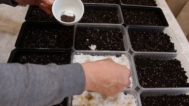 Строительные Шаги