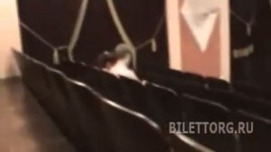 Театр Ромэн схема зала, амфитеатр 5 ряд