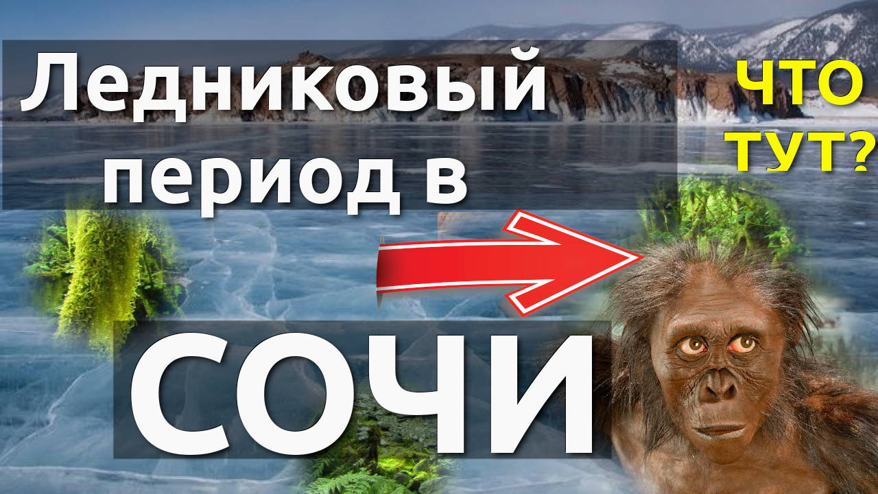 Ледниковый период, природа Сочи, Природа России, реликтовый лес,  Сочи сегодня, Хоста сегодня