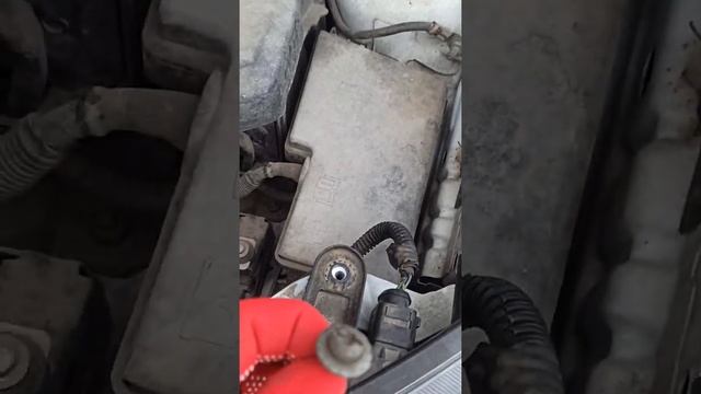 Замена лампочек в фаре Ford Kuga 2.5 1 поколение смотреть онлайн