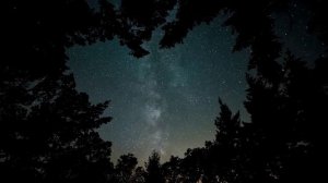 Река-судьба