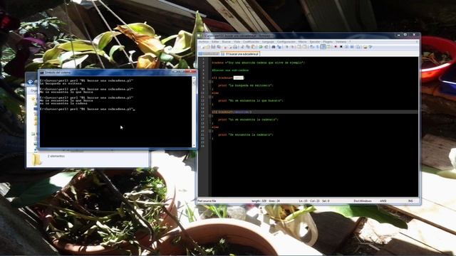 03 Tutorial Perl Expresiones Regulares смотреть онлайн