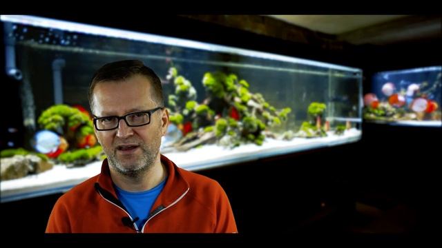 Okrzemki i sposoby ich zwalczania. Diatoms and methods of combating them смотреть онлайн