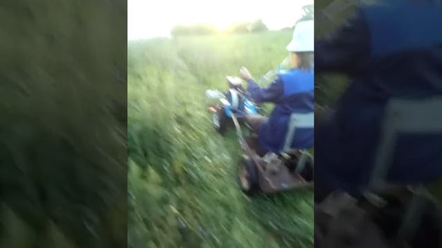 Косим сидя на мотоблоке Нева смотреть онлайн