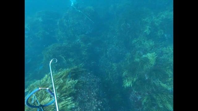 Denmark WA 2020 смотреть онлайн