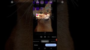 Как сделать  обои на телефон без  приложения.