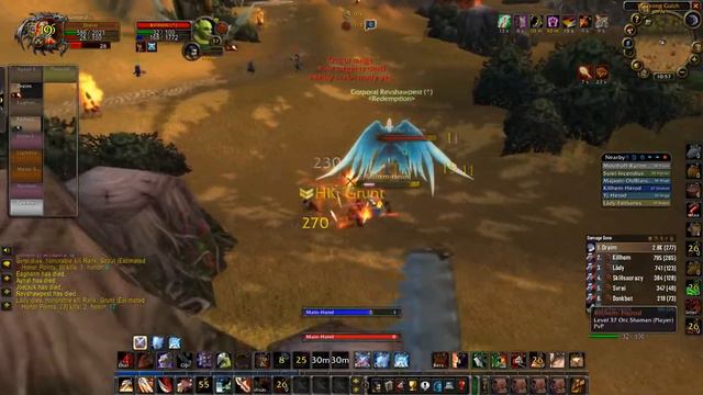 Whirlwind Axe LvL 36 Warrior Battle Grounds! Dreim Progress #1 смотреть онлайн