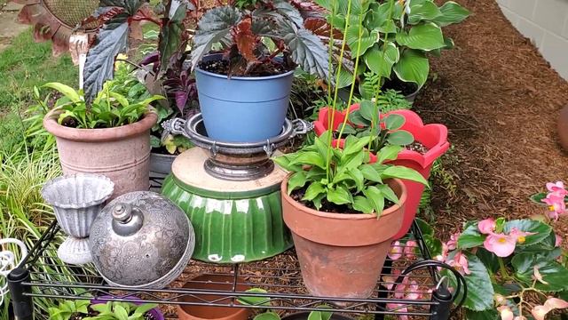 BACK PORCH, PATIO FLOWER POTS & REVAMPED FLOWER BED JULY 13, 2022🌻❤️🌻