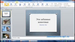 создание слайд шоу в Microsoft PowerPoint