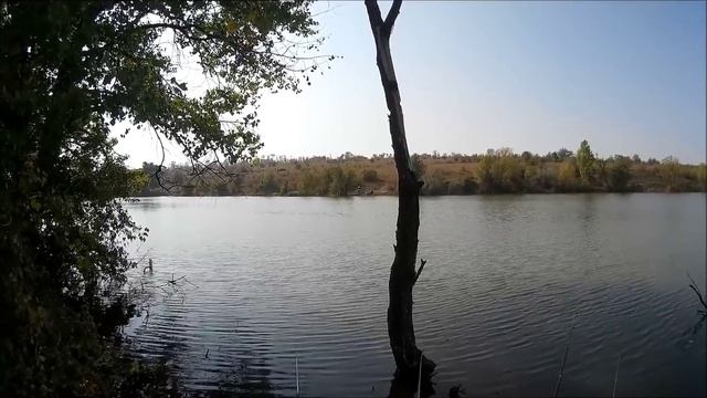 Ловля карасей с помощью керосина. Fishing for carp with the help of kerosene смотреть онлайн
