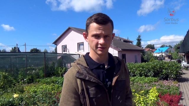 Как и чем точить садовый инструмент? Можно ли точить кусторез, секатор, садовую пилу ? смотреть онлайн